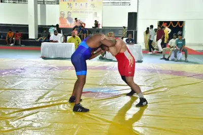 Wrestling Gold Cup — photo 15