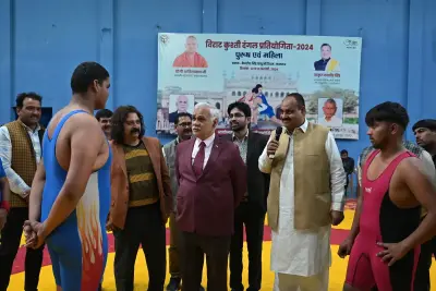 Wrestling Competition  — photo 11