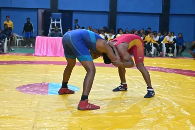 Wrestling Competition  — photo 3